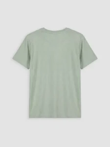 LC WAIKIKI Green Crew Neck Printed Boys' T-Shirt - Image 3