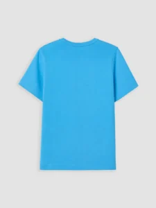 LC WAIKIKI Blue Crew Neck Printed Boys' T-Shirt - Image 3