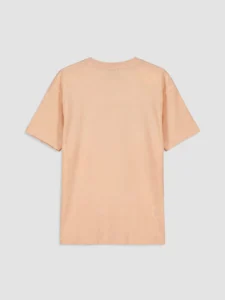 LCW Kids Pink Crew Neck Printed Boys' T-Shirt - Image 4