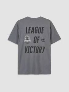 LCW Kids Gray Crew Neck Printed Boys' T-Shirt - Image 4