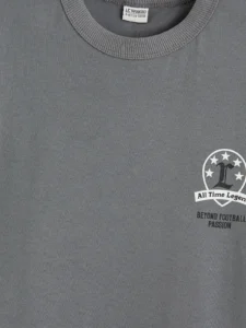 LCW Kids Gray Crew Neck Printed Boys' T-Shirt - Image 6