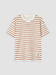 LC WAIKIKI Brown Crew Neck Striped Boys' T-Shirt