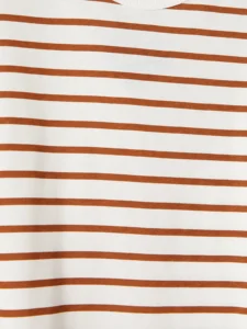 LC WAIKIKI Brown Crew Neck Striped Boys' T-Shirt - Image 2