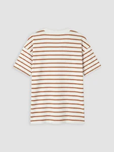 LC WAIKIKI Brown Crew Neck Striped Boys' T-Shirt - Image 3