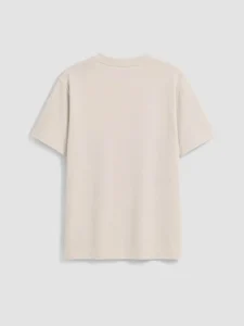 LCW Kids Beige Azerbaycan Printed Boys' T-Shirt - Image 3