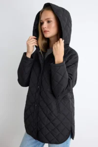 TRENDYOLMİLLA Black Regular Pattern Hooded Water Repellent Quilted Coat - Image 2
