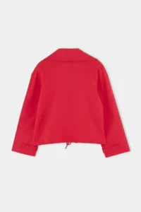TRENDYOLMİLLA Red High Neck buttoned Oversized Pattern Coat - Image 10