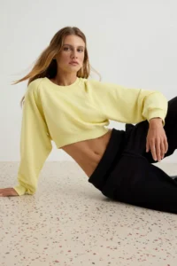 TRENDYOLMİLLA Light YELLOW Thick Without Raising Regular Pattern Crew Neck Crop Length Knitting Sweatshirt