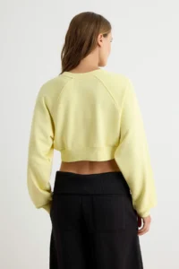 TRENDYOLMİLLA Light YELLOW Thick Without Raising Regular Pattern Crew Neck Crop Length Knitting Sweatshirt - Image 4