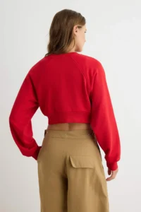 TRENDYOLMİLLA Red Thick Without Raising Regular Pattern Crew Neck Crop Length Knitting Sweatshirt - Image 4
