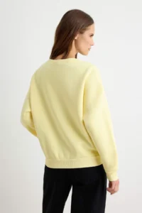 TRENDYOLMİLLA Light YELLOW Dog Embroidered Oversized/Wide Cut Knitting Sweatshirt - Image 4