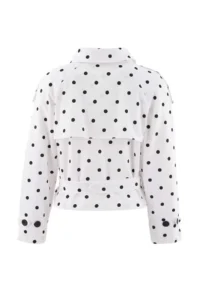 TRENDYOLMİLLA Multicolored Polka Dot Regular High Neck Arched Gabardine Short Trench Coat - Image 11