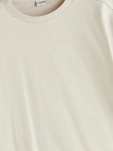 LCW Kids Beige Crew Neck Basic Boys' T-Shirt - Image 2