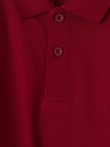 LC Waikiki Burgundy LCW KidsPolo Collar Boys' Pique T-Shirt - Image 4