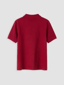 LC Waikiki Burgundy LCW KidsPolo Collar Boys' Pique T-Shirt - Image 5