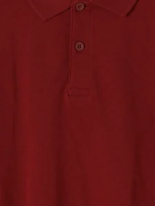 LC Waikiki Burgundy LCW KidsPolo Collar Boys' T-Shirt - Image 4