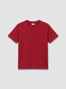 LC Waikiki Burgundy LCW KidsErkek Kids T-Shirt - Image 2