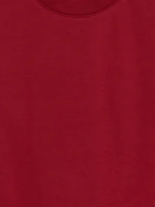 LC Waikiki Burgundy LCW KidsErkek Kids T-Shirt - Image 3