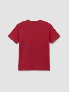 LC Waikiki Burgundy LCW KidsErkek Kids T-Shirt - Image 4