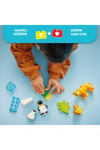 LEGO ® DUPLO® Town Wild Animal Families: Penguins and Lions - 2+ Educational Toy Set (10P) - Image 6