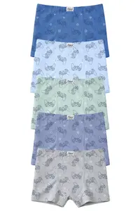 Onurel Boy's 5 Pack Mixed Color Console Printed Lycra Boxers