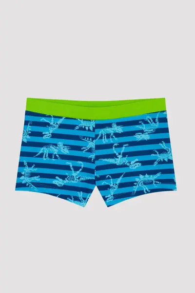 Penti Boys' Dinozor Printed Trunk Swimsuit