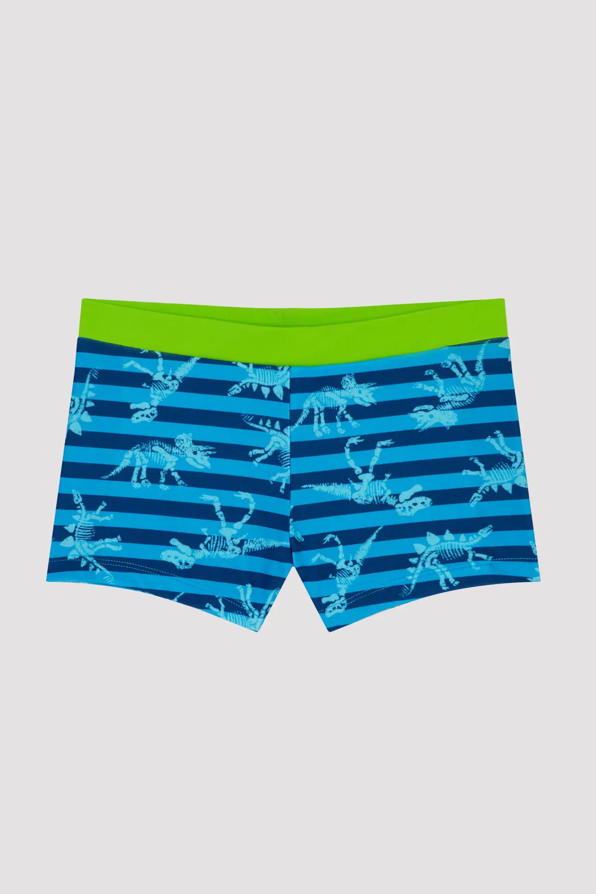 Penti Boys' Dinozor Printed Trunk Swimsuit