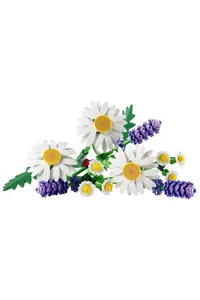 LEGO Botanicals Papatyalar 11508 - Image 2