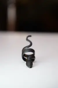 The Collection Adjustable Black Plated Ring with Snake Figure - Image 4