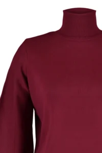 TRENDYOLMİLLA Burgundy Basic Turtleneck Knitwear Sweater - Image 7