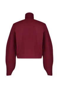 TRENDYOLMİLLA Burgundy Basic Turtleneck Knitwear Sweater - Image 8