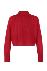 TRENDYOLMİLLA Red Crop Zippered High Neck Basic Knitwear Sweater - Image 6