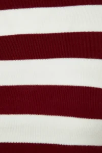 TRENDYOLMİLLA Burgundy Crop Basic Striped Knitwear Sweater - Image 8