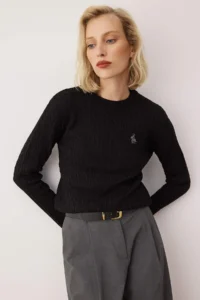 TRENDYOLMİLLA Black At Embroidered Hair Knitting Thin Knitwear Sweater
