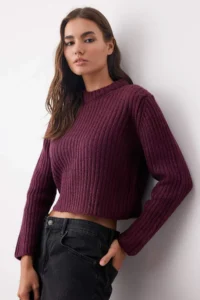 TRENDYOLMİLLA Plum Crop Soft textured Crop/Short Knitwear Sweater