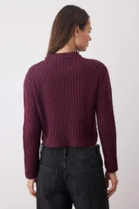 TRENDYOLMİLLA Plum Crop Soft textured Crop/Short Knitwear Sweater - Image 4