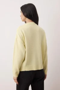 TRENDYOLMİLLA Yellow Soft textured Dog Embroidered Crew Neck Knitwear Sweater - Image 4