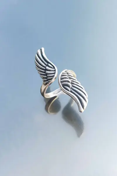 The Collection Silver Plated Winged Ring