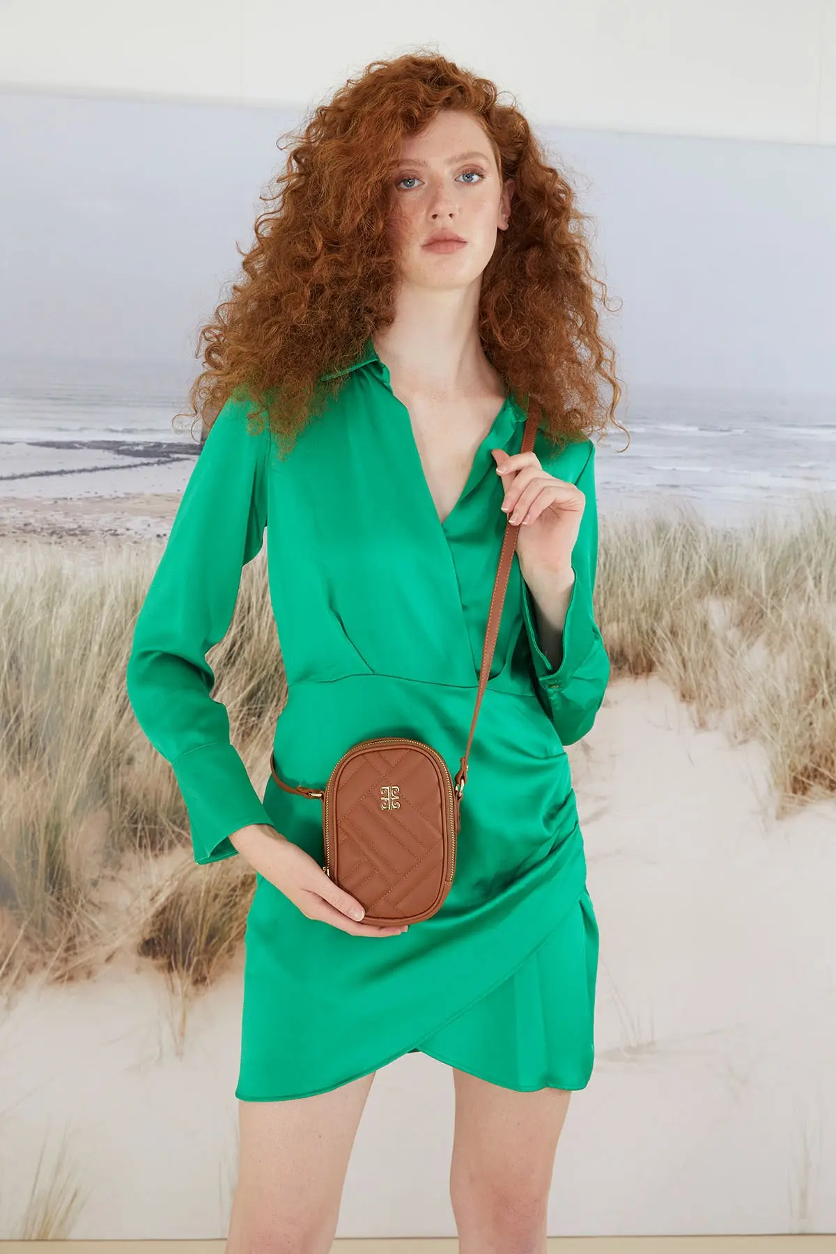 05PO22Y1614-BROWN_1