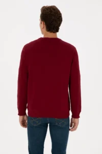 US Polo Assn. Men Regular Fit Crew Neck Burgundy Basic Sweatshirt - Image 5