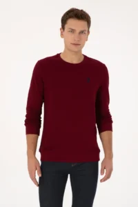 US Polo Assn. Men Regular Fit Crew Neck Burgundy Sweatshirt - Image 3