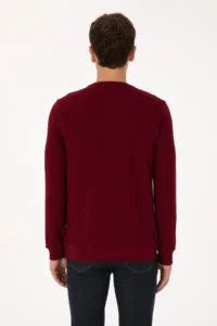 US Polo Assn. Men Regular Fit Crew Neck Burgundy Sweatshirt - Image 5