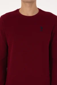 US Polo Assn. Men Regular Fit Crew Neck Burgundy Sweatshirt - Image 6