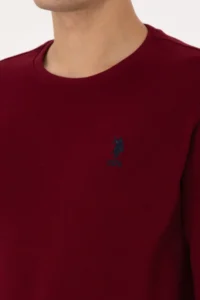 US Polo Assn. Men Regular Fit Crew Neck Burgundy Sweatshirt - Image 7