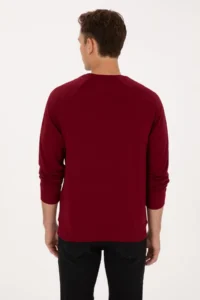 US Polo Assn. Men Regular Fit Crew Neck Burgundy Thin Basic Sweatshirt - Image 5