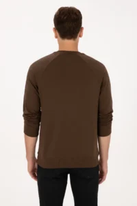 US Polo Assn. Men Regular Fit Crew Neck Brown Thin Basic Sweatshirt - Image 5