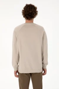 US Polo Assn. Men Regular Fit Crew Neck Stone Thin Basic Sweatshirt - Image 5