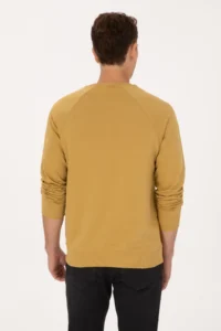 US Polo Assn. Men Regular Fit Crew Neck Mustard Thin Basic Sweatshirt - Image 5