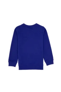 US Polo Assn. Boys' Purple Basic Crew Neck Sweatshirt - Image 2