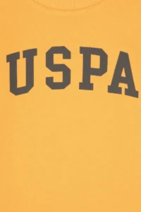 US Polo Assn. Boys' Mango Crew Neck Basic Sweatshirt - Image 3